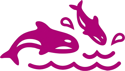 dolphins splashing in water icon